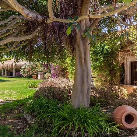Le Petit Paradis Ferienhaus